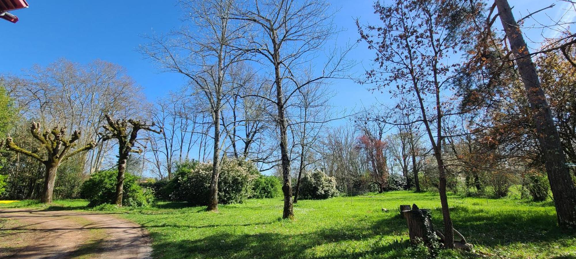 Le Manoir Du Moulin De Madame Bed & Breakfast Villeneuve-sur-Lot Luaran gambar